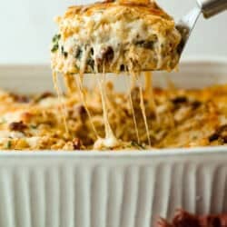 Wed Me Lasagna