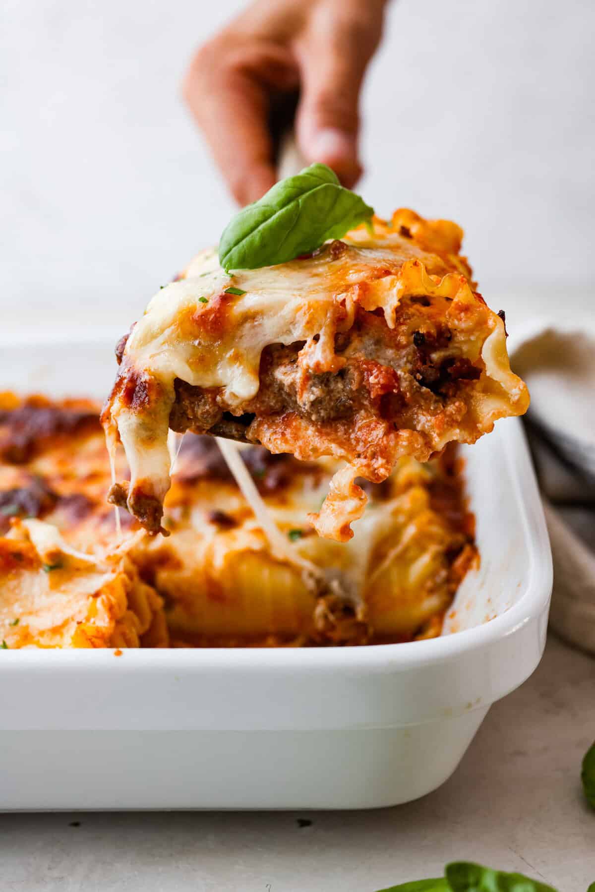 Wed Me Lasagna