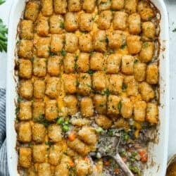 Tacky Tater Toddler Covered Dish