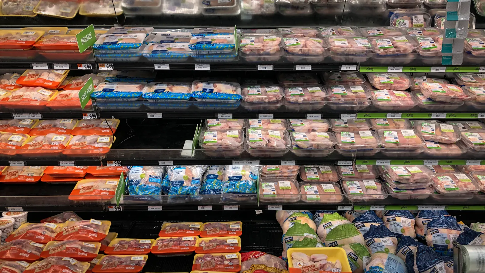 Pilgrim’s to build $400M chicken plant in Georgia