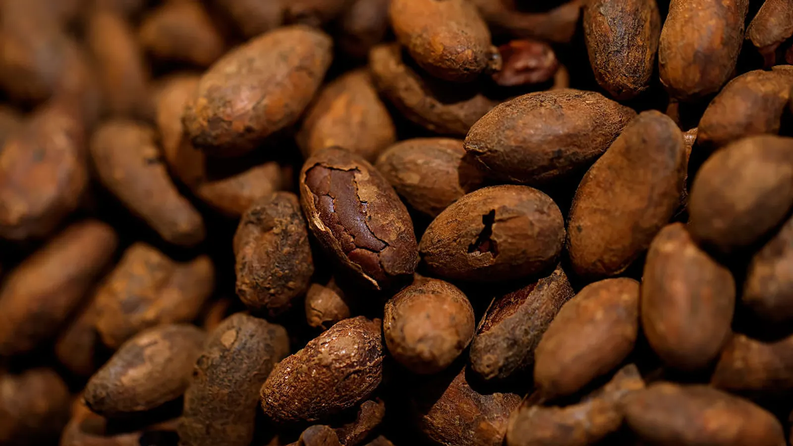 Can chocolate substitutes step in as cocoa prices soar?