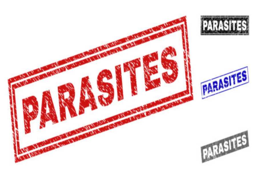 FAO meeting shines light on foodborne parasites