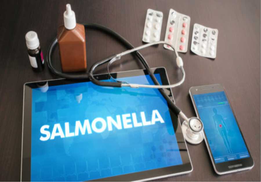 Salmonella hits festivalgoers in Spain