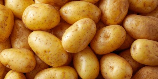 Publisher’s Platform: Mystery Listeria Outbreak Investigation needs to be Reopened
