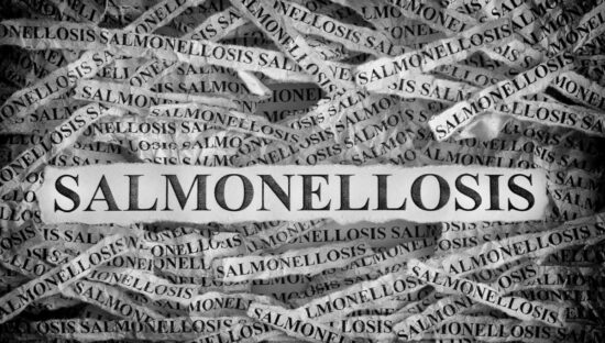 Scientists warn of Dutch Salmonella increase
