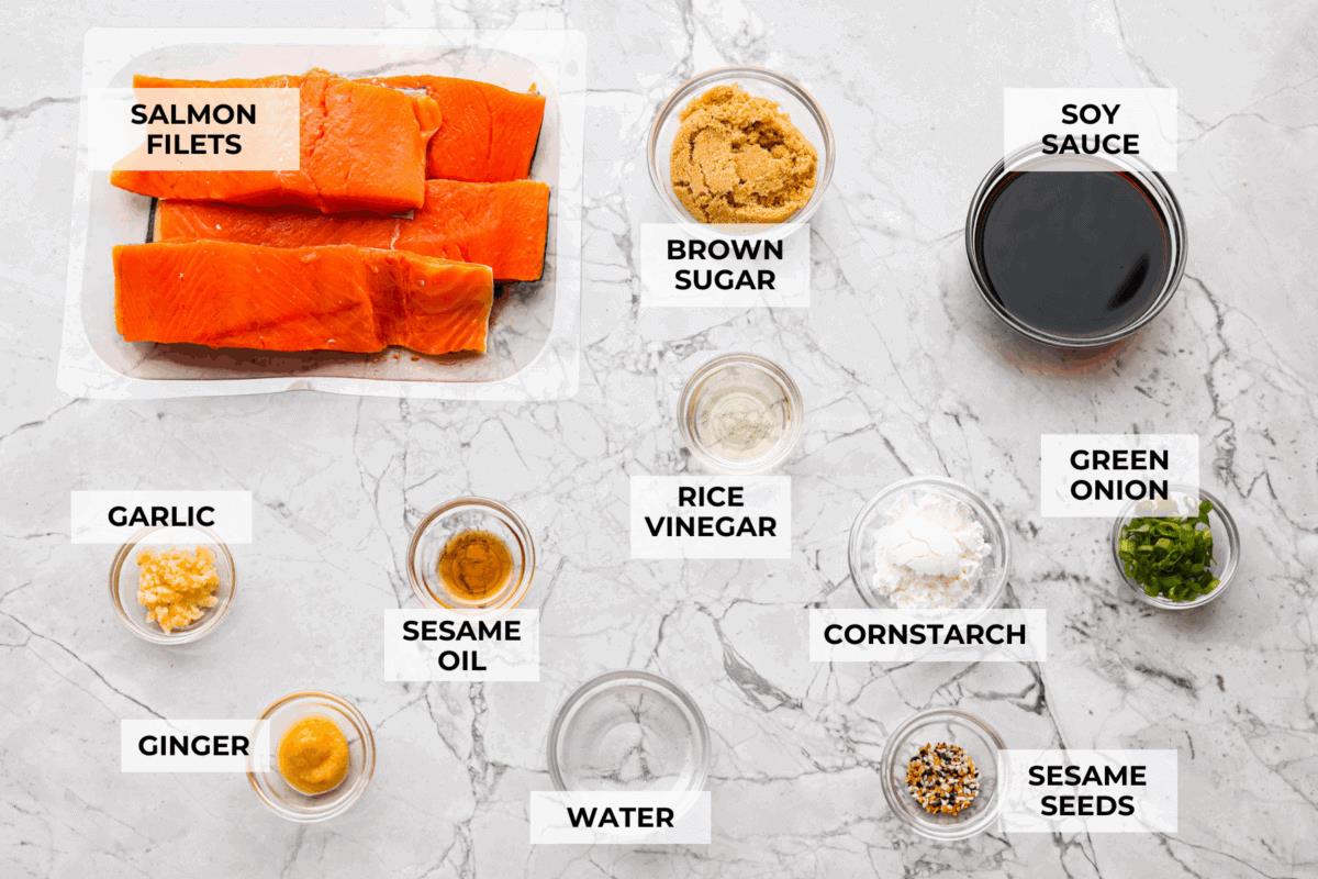 Overhead shot of labeled air fryer teriyaki salmon ingredients. 