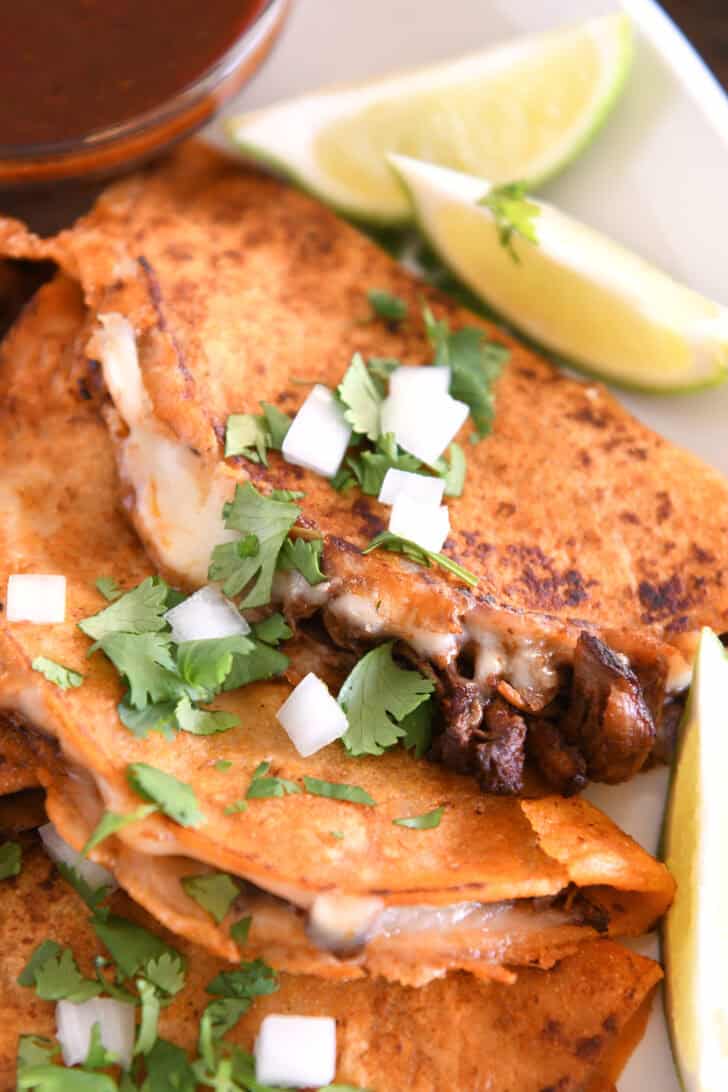 Two corn tortillas filled with beef and melty cheese topped with cilantro and onions on white platter.