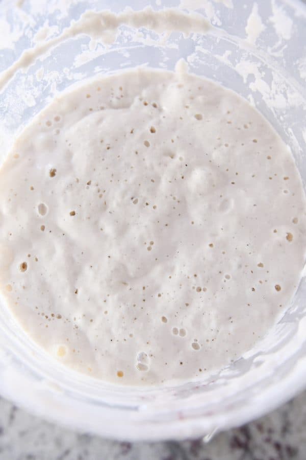 bubbling fed sourdough starter in plastic bucket