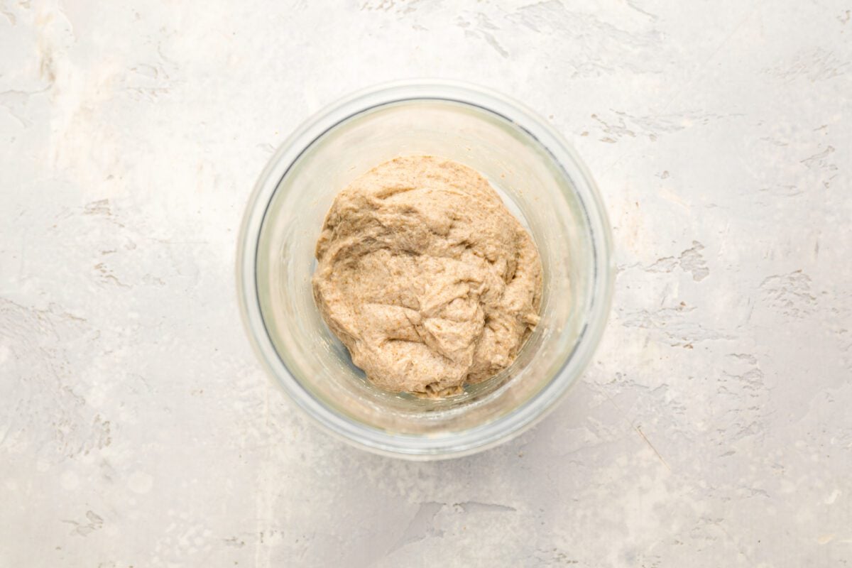 sourdough starter day 2