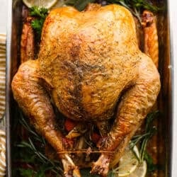 8 Thanksgiving Turkeys So Good You Might Neglect the Sides