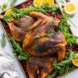 8 Thanksgiving Turkeys So Good You Might Neglect the Sides