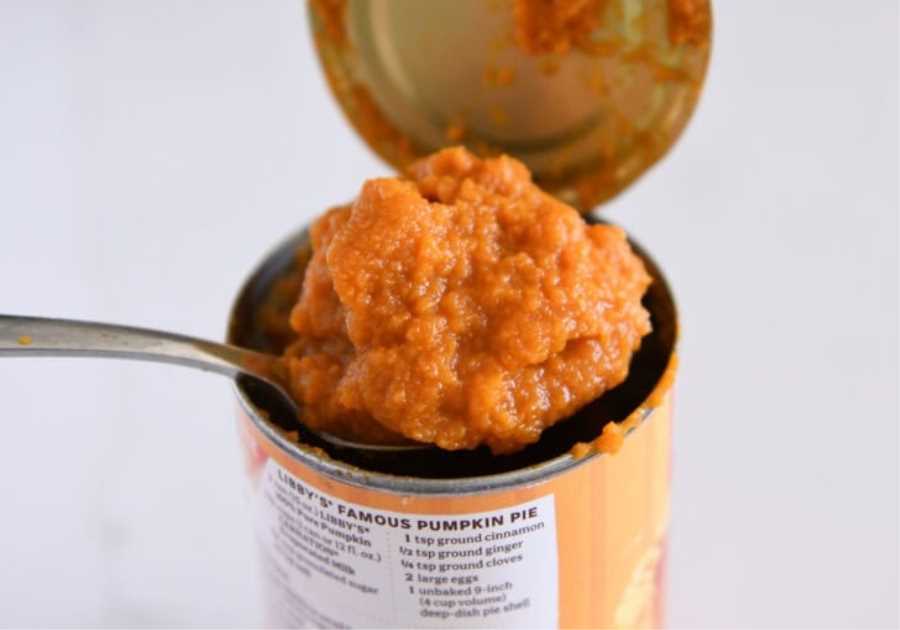 24 Ways to Utilize Extra Bits of Canned Pumpkin