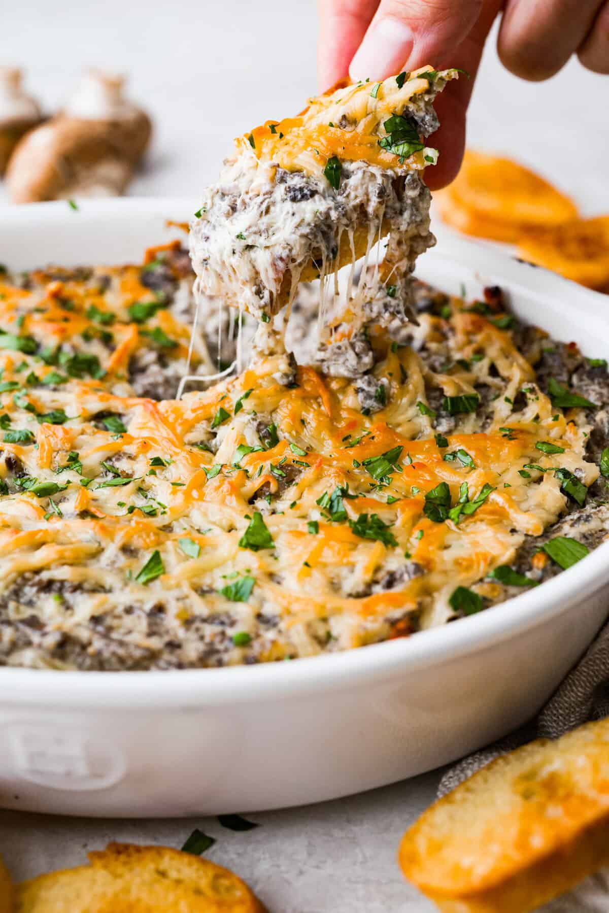 Stuffed Mushroom Dip