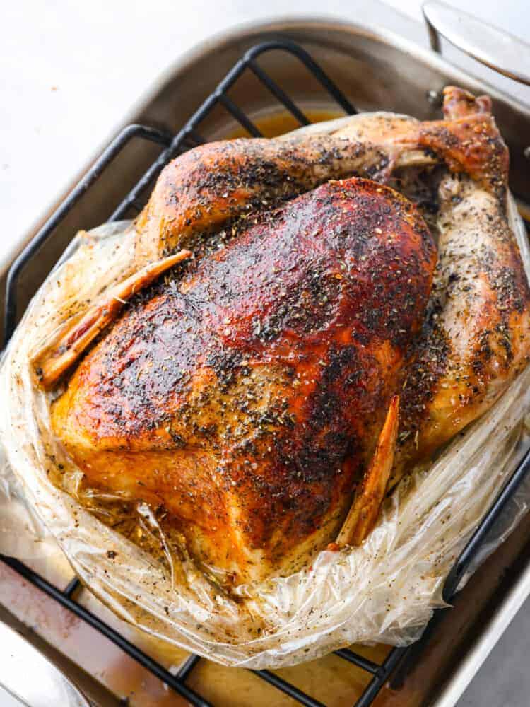 A photo of a turkey in a roasting pan. 