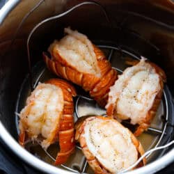 Immediate Pot Lobster