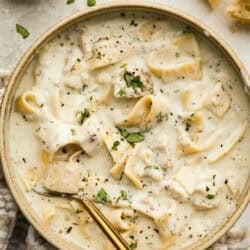 Creamy Hen Alfredo Soup