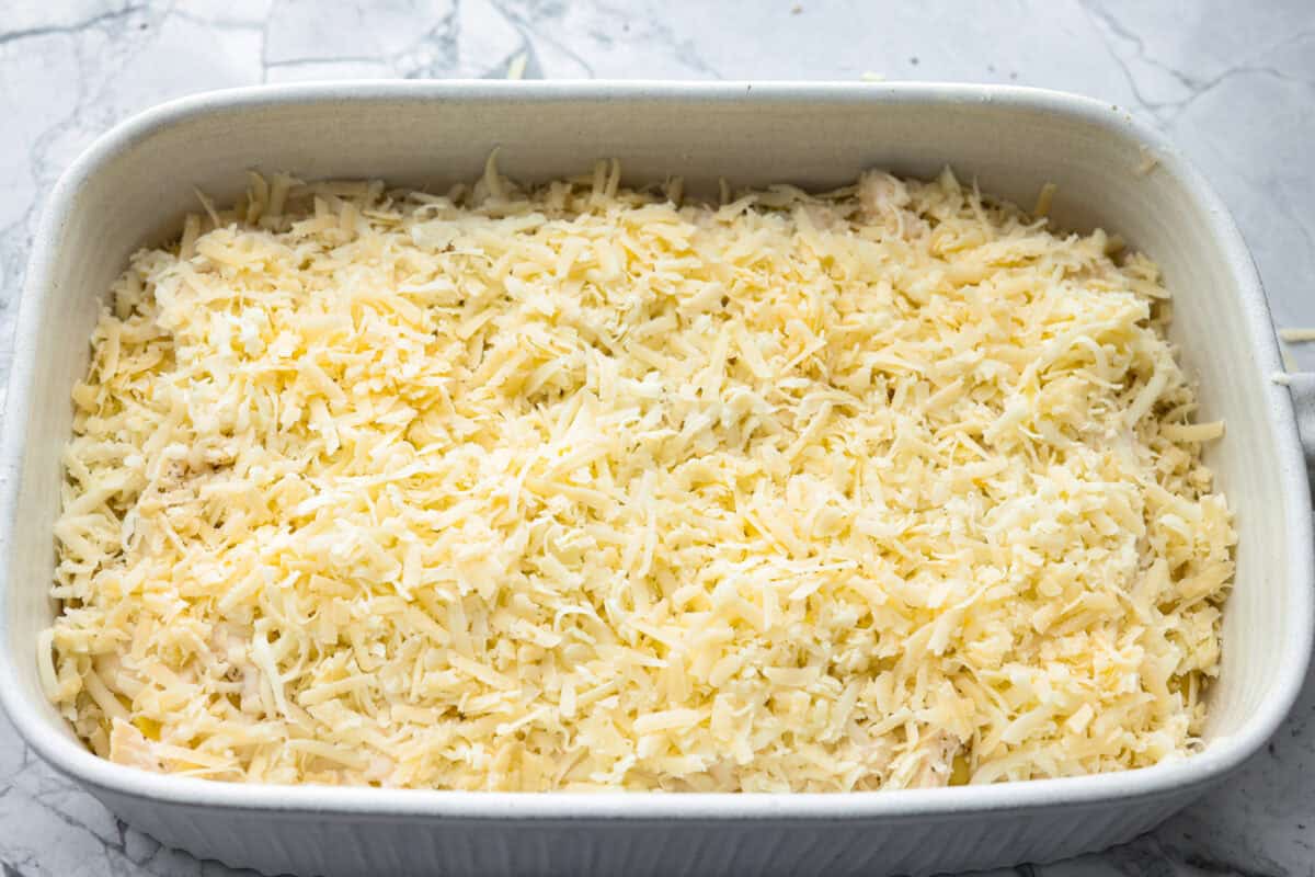 Cheese on top of all of the of the alfredo ravioli casserole. 