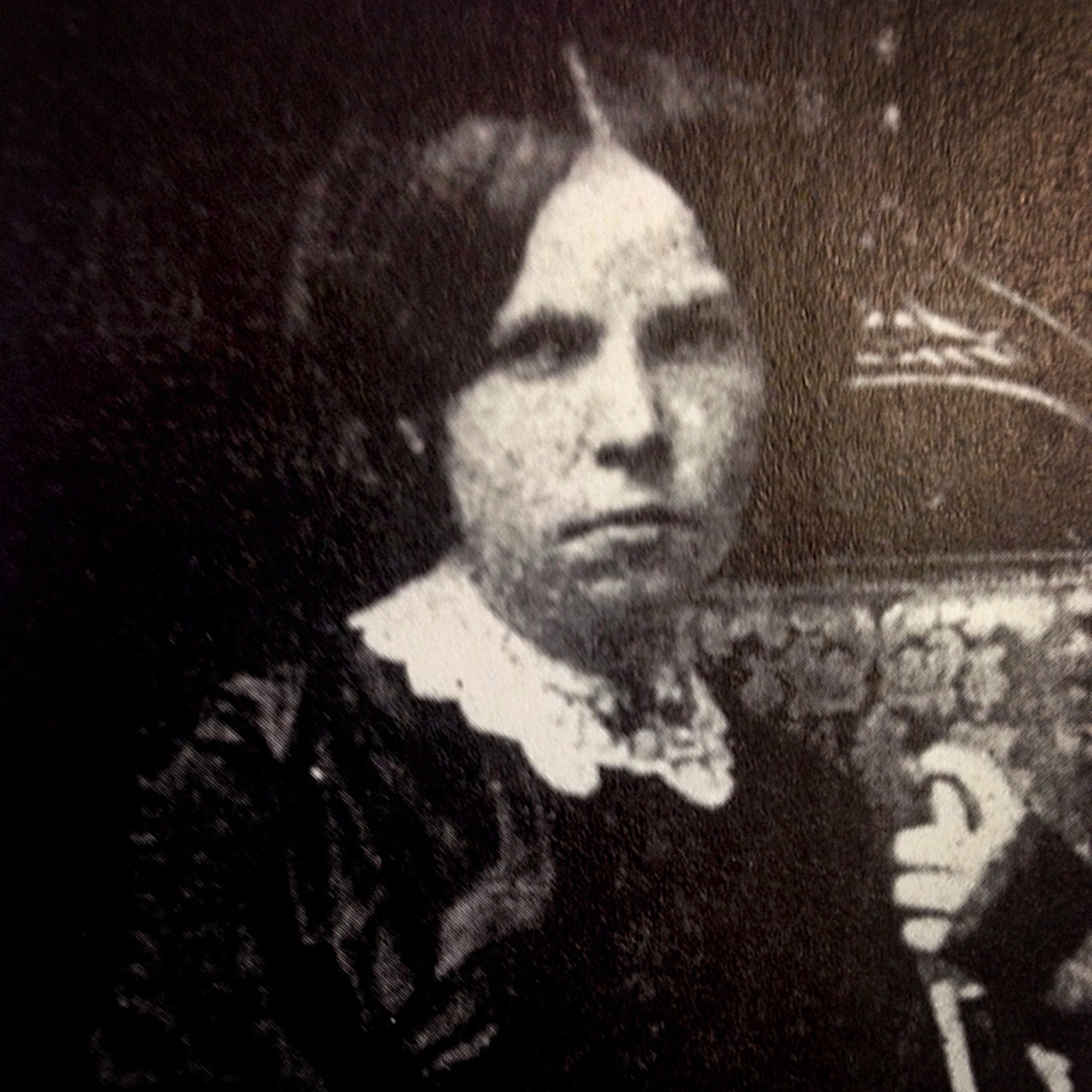 A Cranberry Cake at Christmas