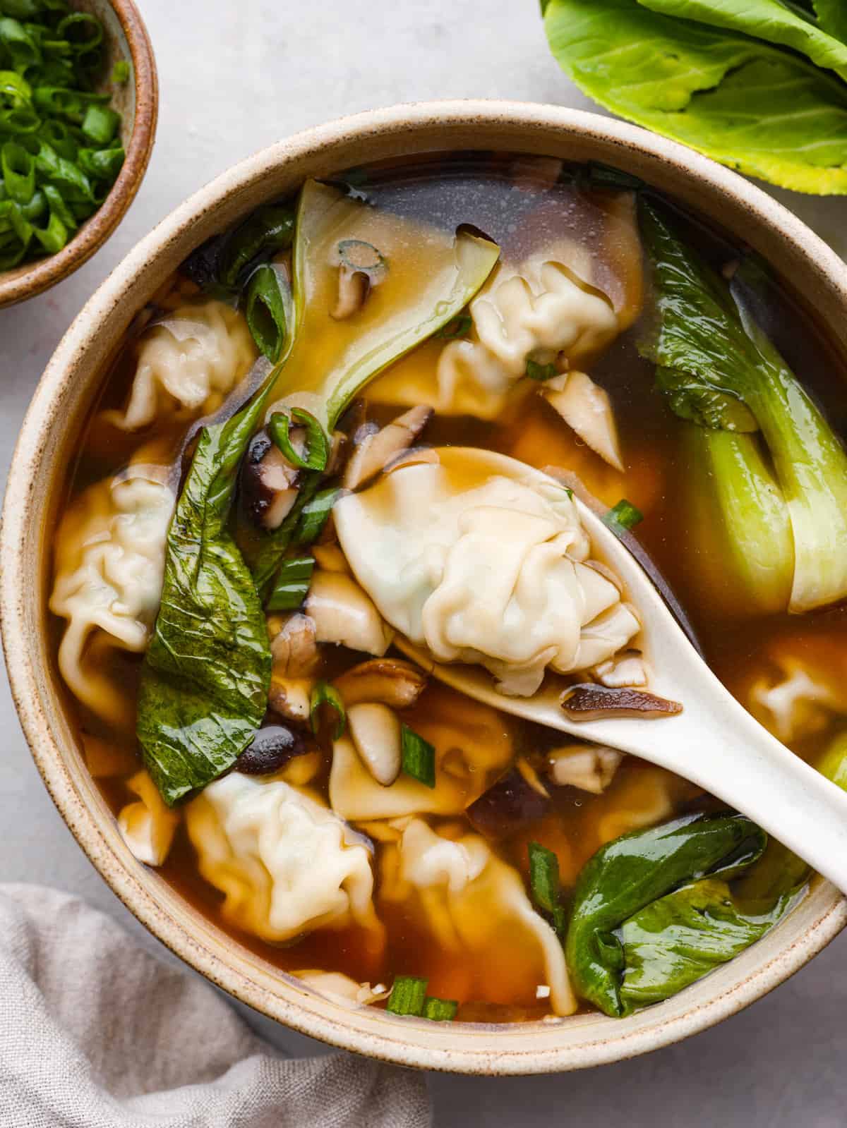 Potsticker Soup
