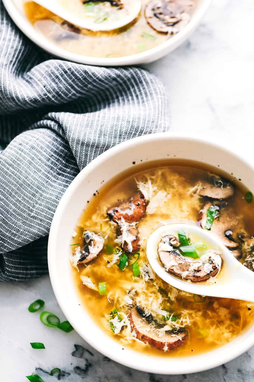 Potsticker Soup