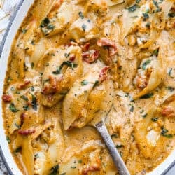 Wed Me Packed Shells