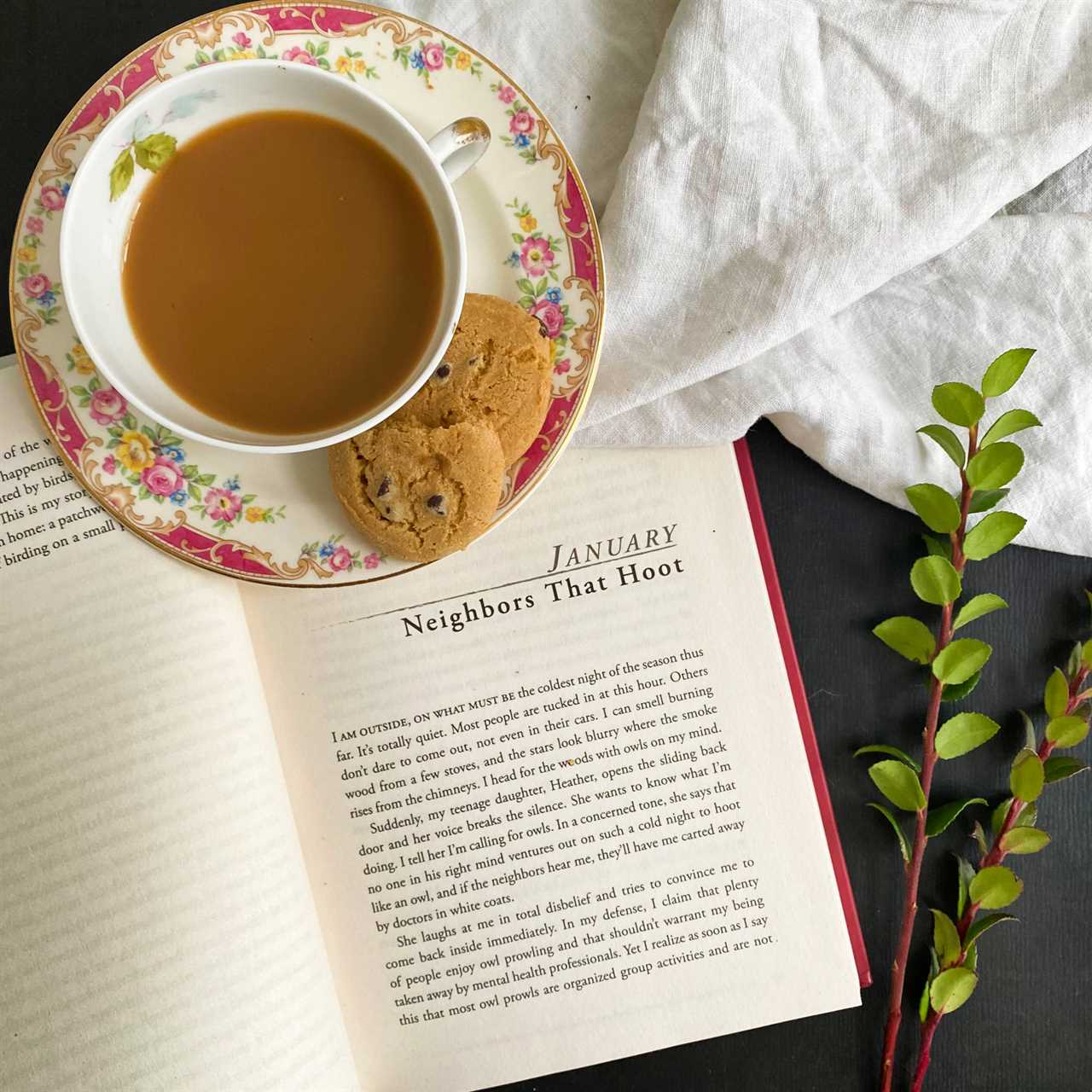 Checking out While Eating: 13 Suggested Books concerning Life, Love