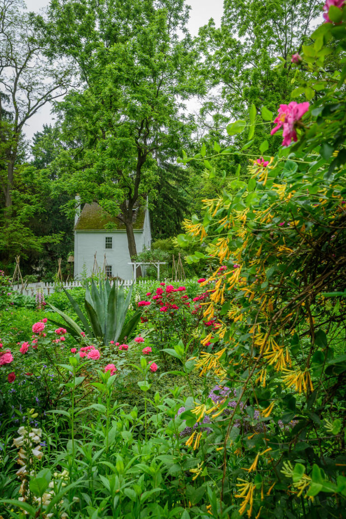 Checking out While Eating: 13 Suggested Books concerning Life, Love