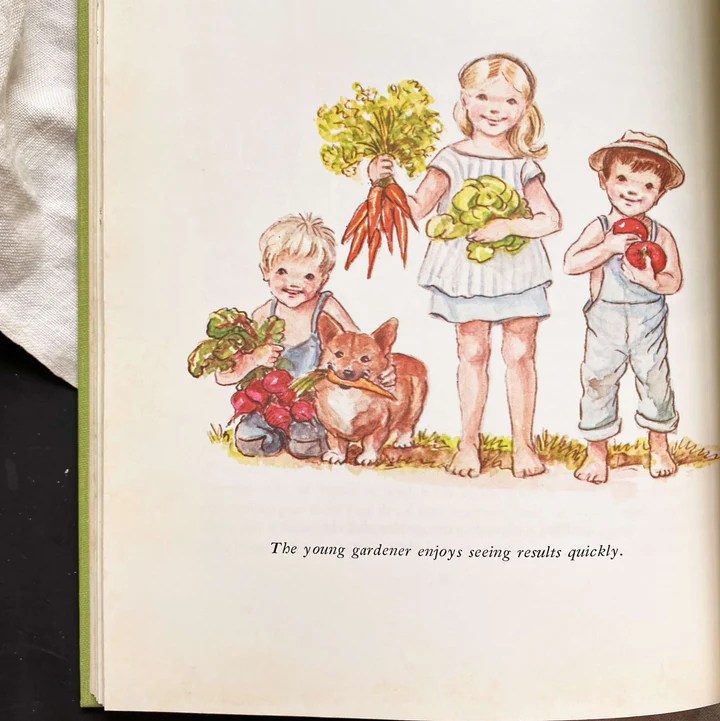 Checking out While Eating: 13 Suggested Books concerning Life, Love