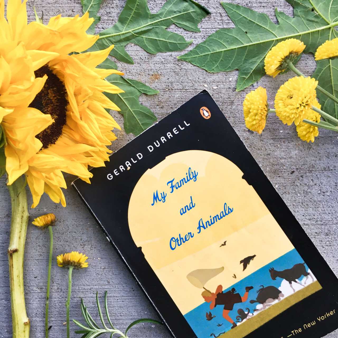 Checking out While Eating: 13 Suggested Books concerning Life, Love