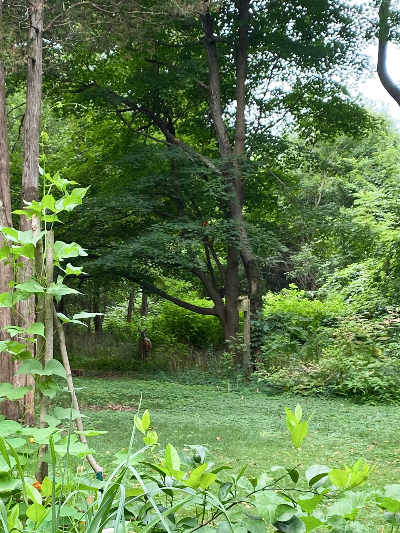 Checking out While Eating: 13 Suggested Books concerning Life, Love