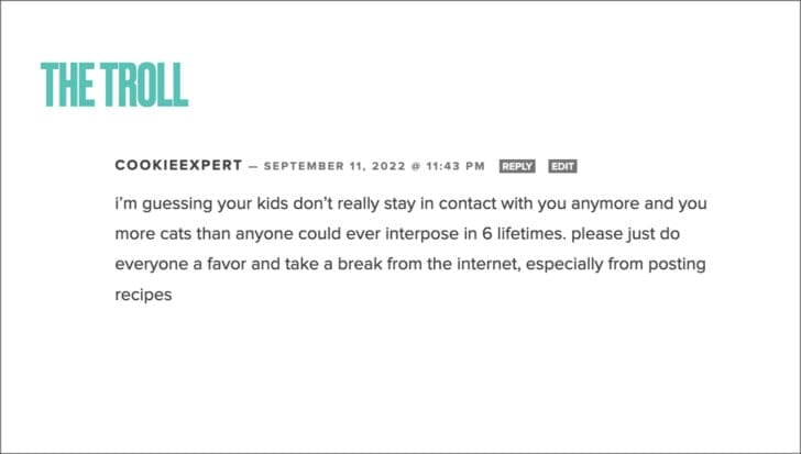 White background with the title: The Troll and a mean comment left anonymously.