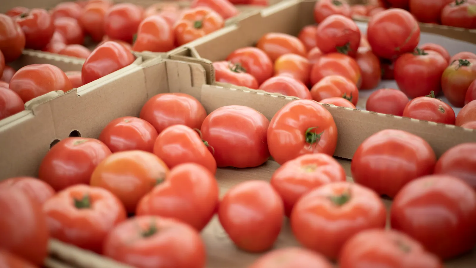 How grocers are taking charge of food traceability requirements