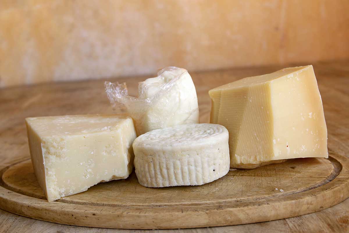 Selection of the best cheeses for pasta including Parmesan wedge, fresh mozzarella, ricotta and Pecorino Romano