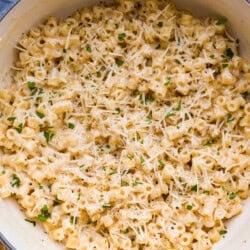 Velvety Garlic Ditalini Pasta