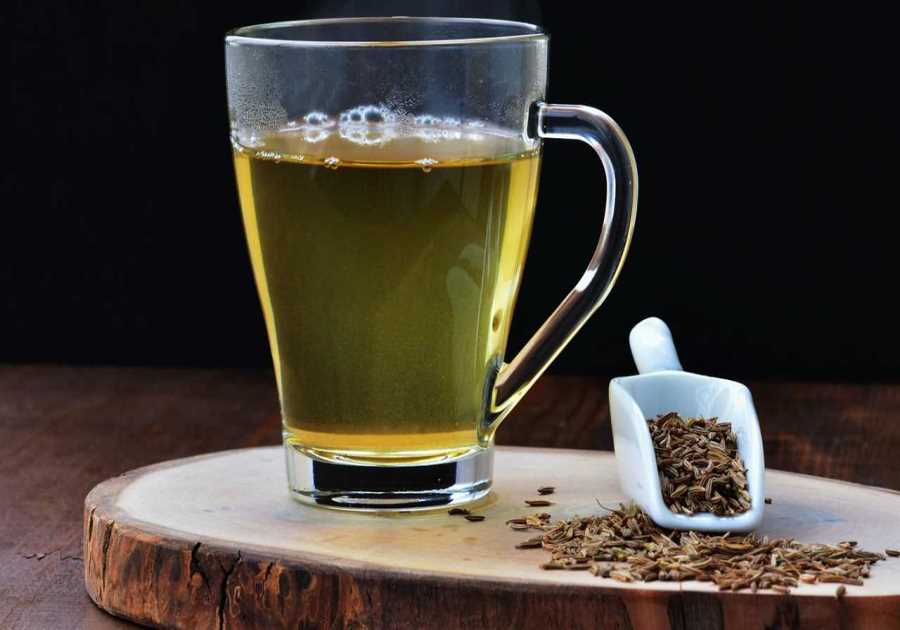 Sunday Edition: Seed oils