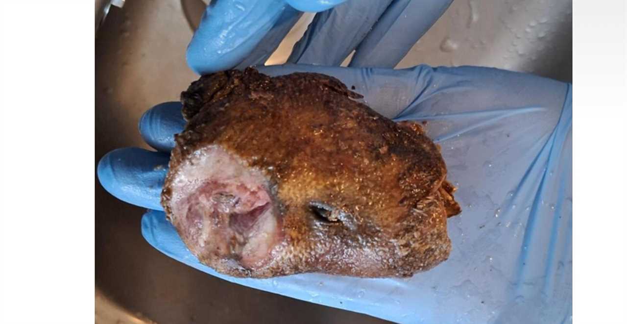 More bushmeat seizures reported in England