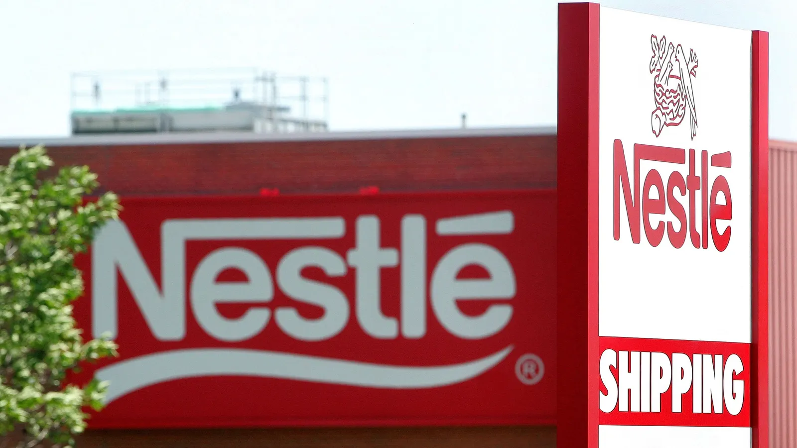 Nestlé inks partnership to support labor rights in coffee supply chains