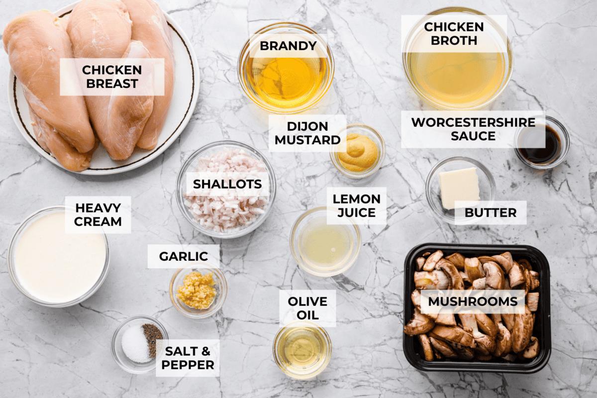 Overhead shot of labeled ingredients. 