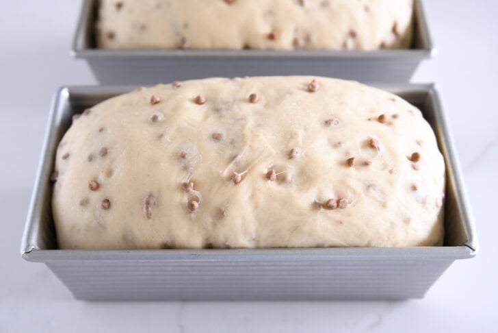 Risen unbaked loaf of cinnamon burst bread in loaf pan.