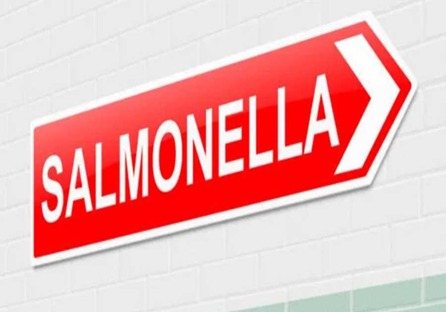 Children sick in Danish Salmonella outbreak