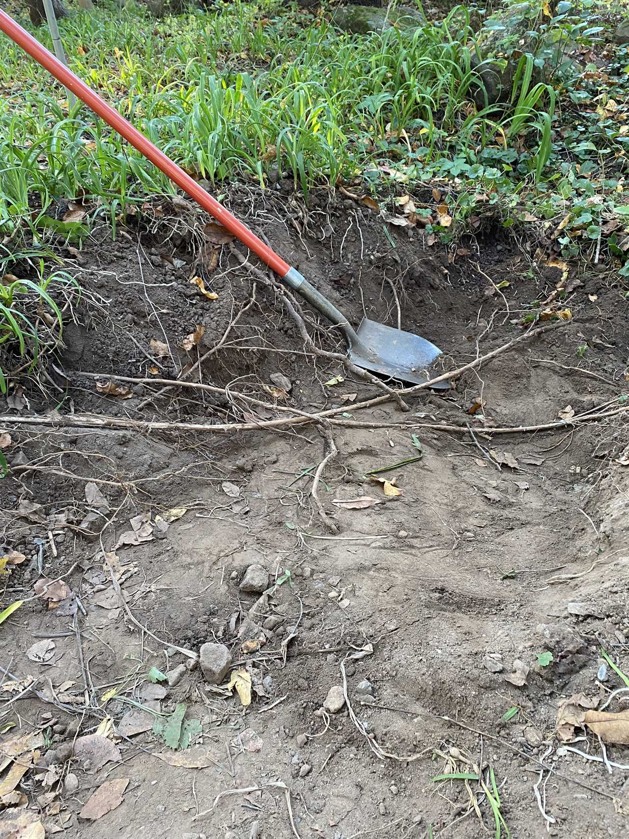 Found Underground: Artifacts Discovered at 1750 Residence