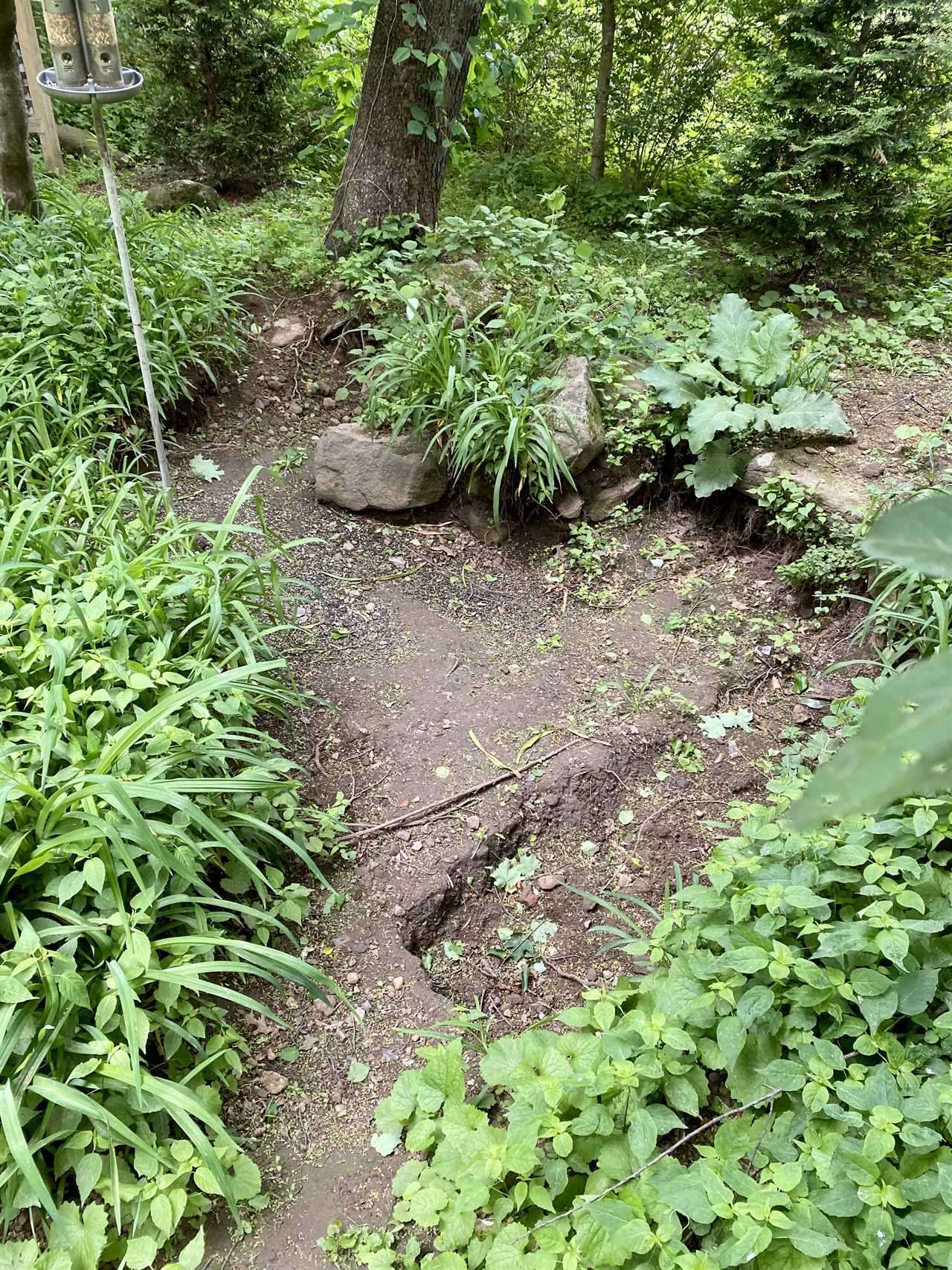 Found Underground: Artifacts Discovered at 1750 Residence