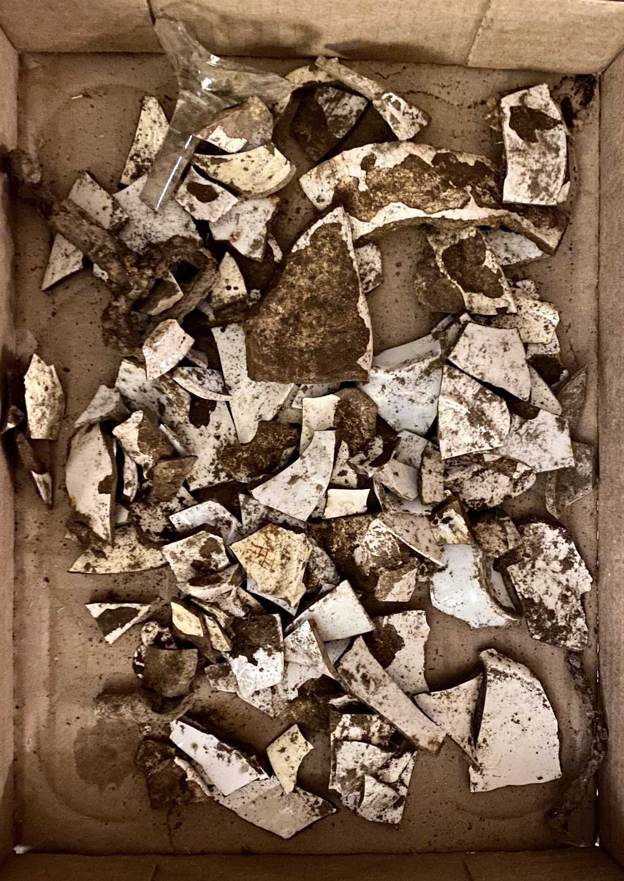 Found Underground: Artifacts Discovered at 1750 Residence