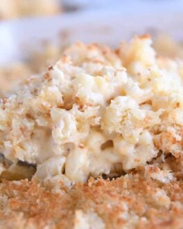 Serving spoon with helping of creamy baked macaroni and cheese.