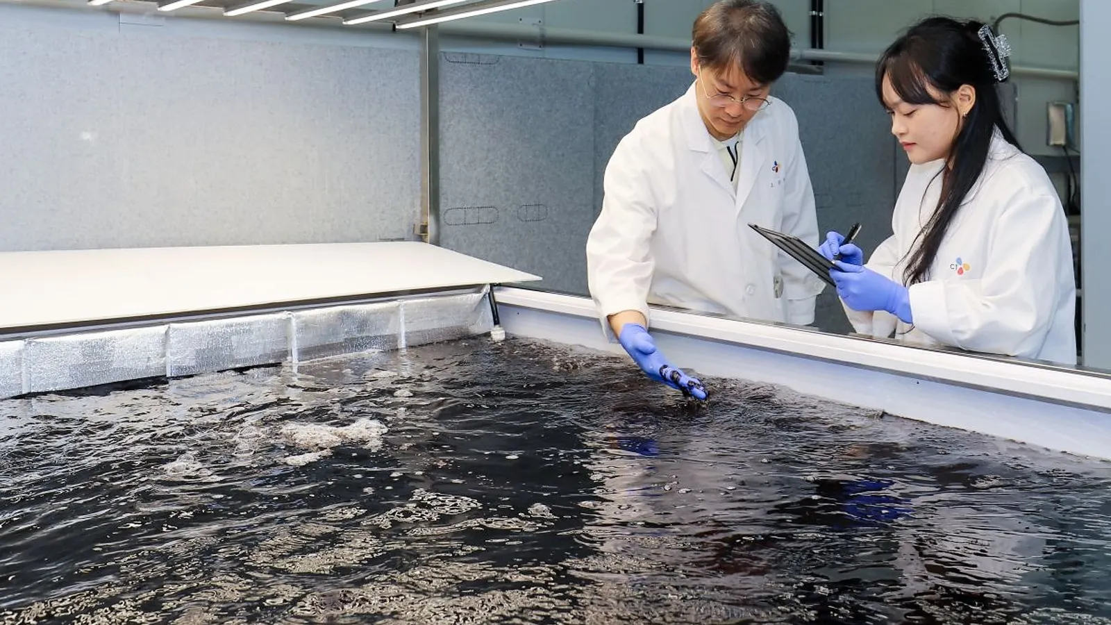 Bibigo owner to build cultivated seaweed plant to fuel Korean food demand