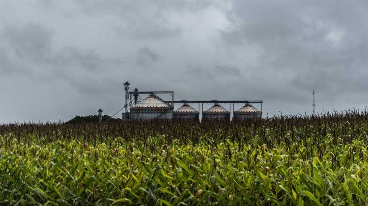 Big Food “failing to meet hype” on regenerative agriculture