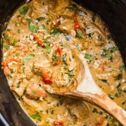 Slow Cooker Thai Peanut Hen