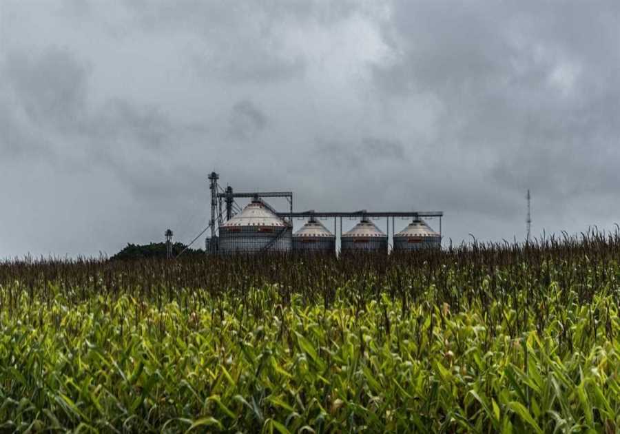 Big Food “failing to meet hype” on regenerative agriculture