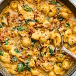 Weekly Dish Plan # 95.
