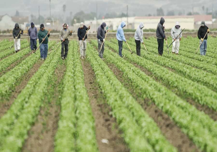 Sunday Edition: Farm Bill 2.0